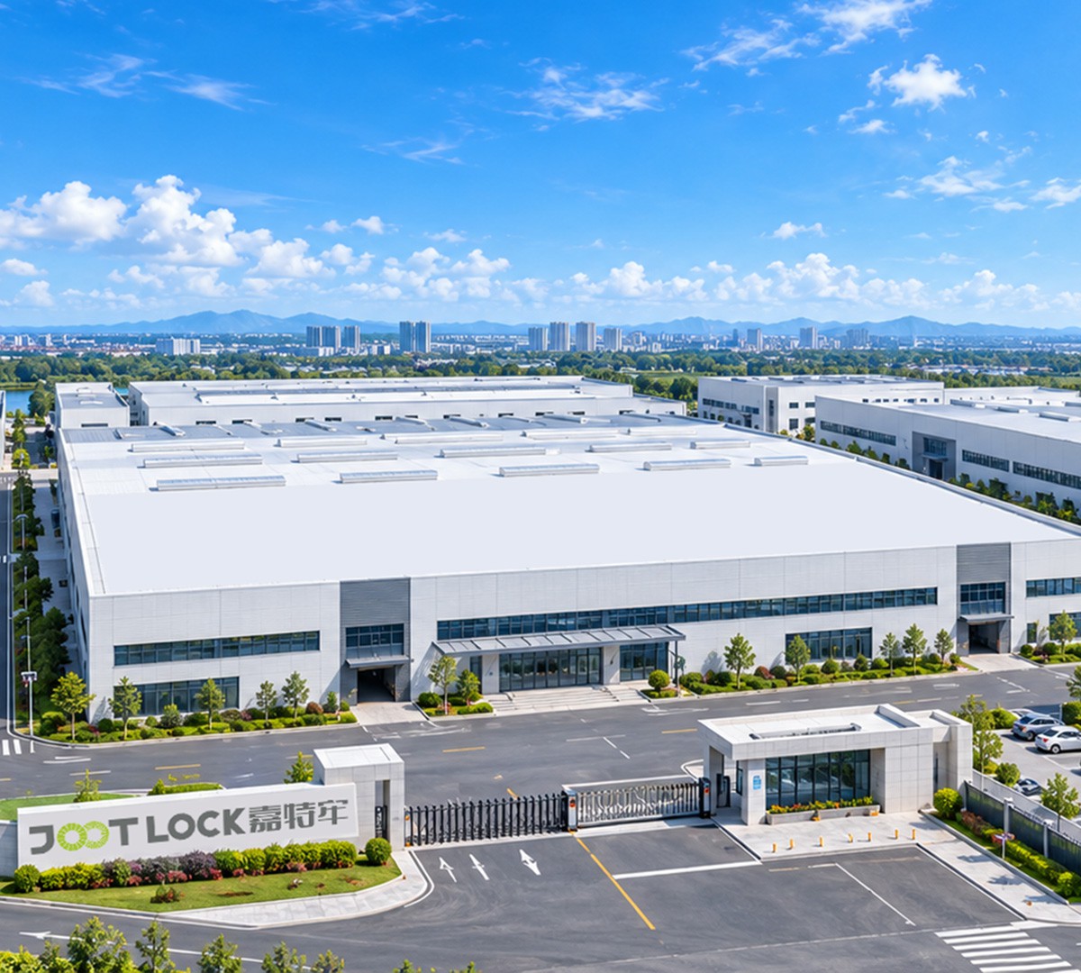 Company Profile